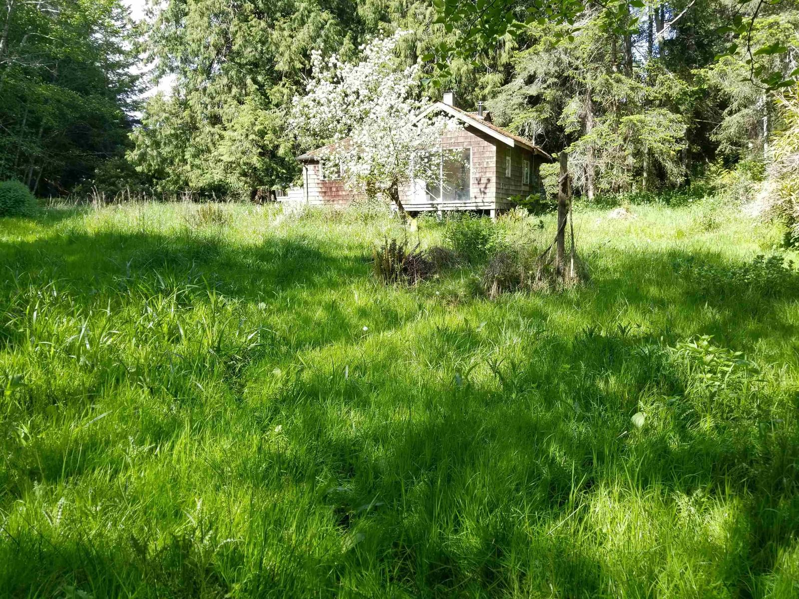 Listing Image 19