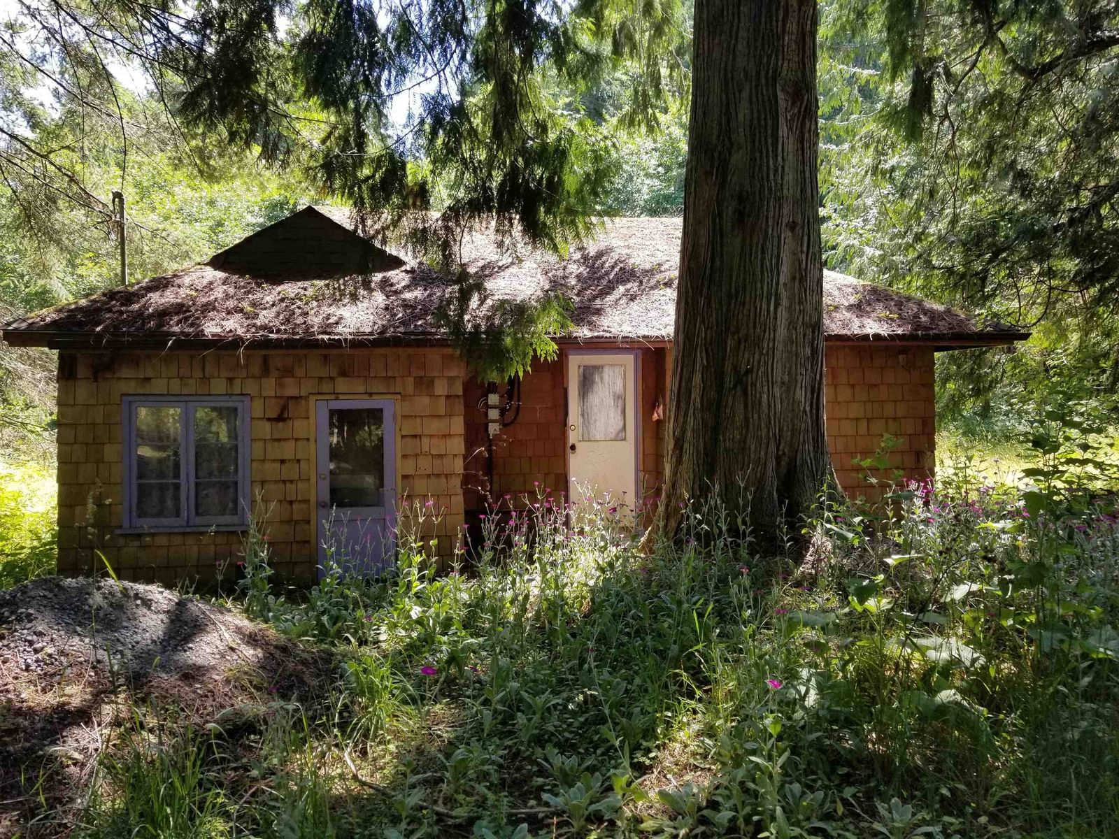 Listing Image 20