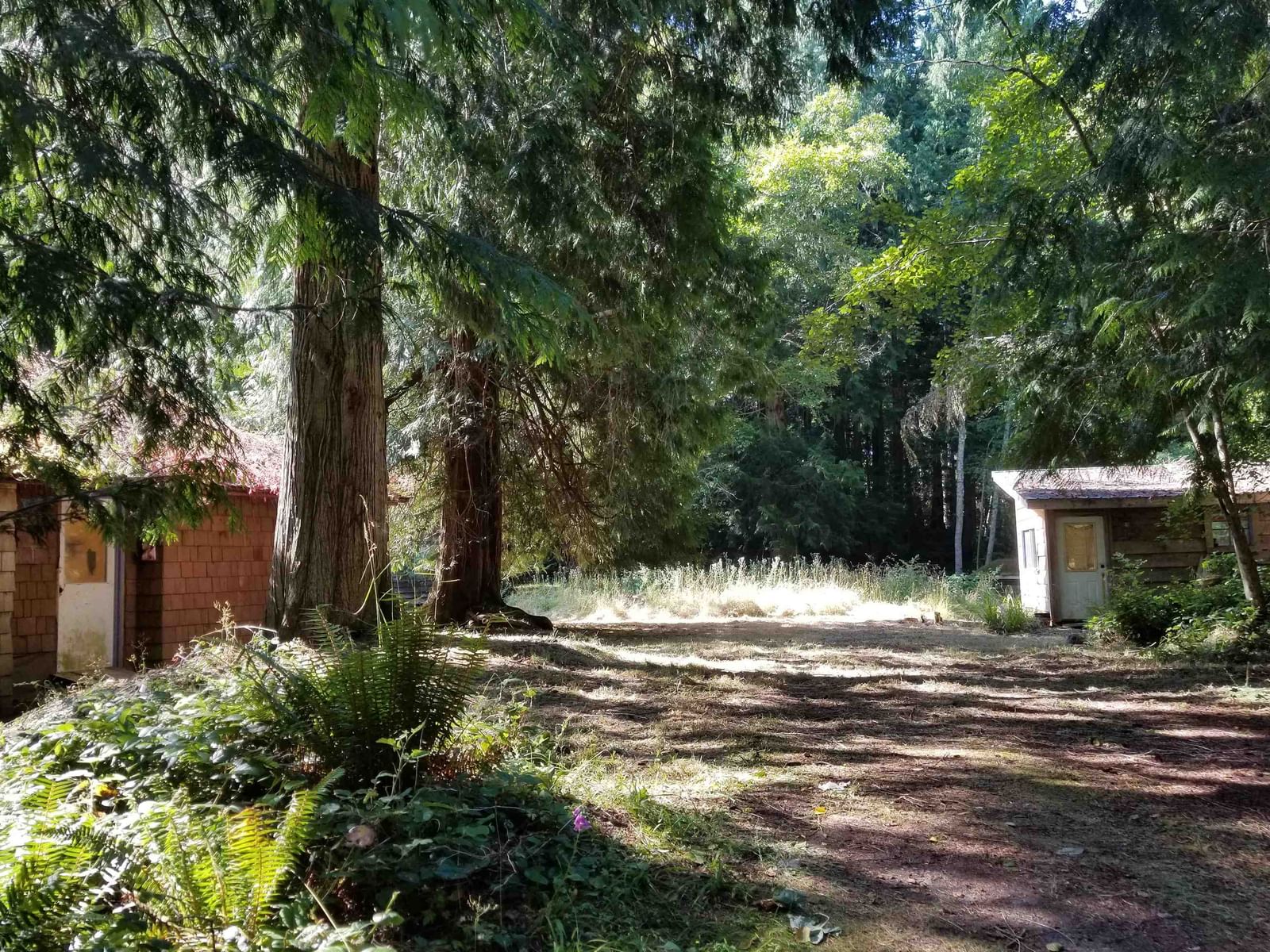 Listing Image 21
