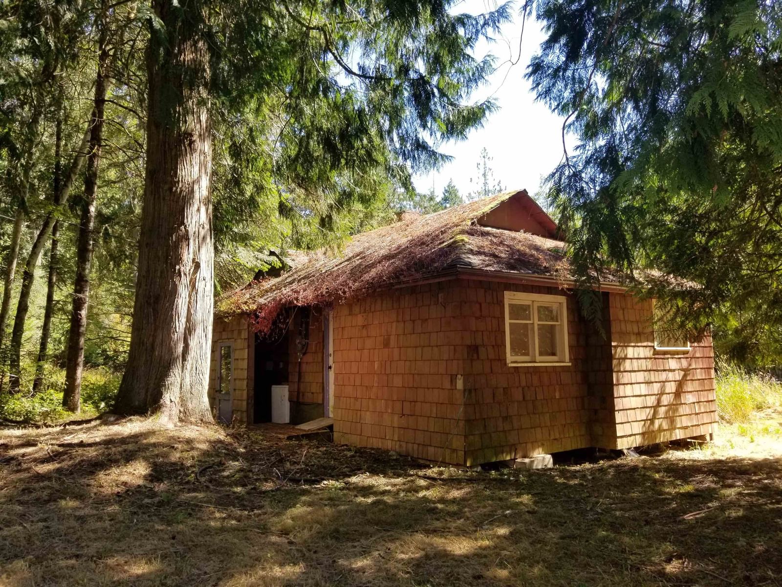 Listing Image 32