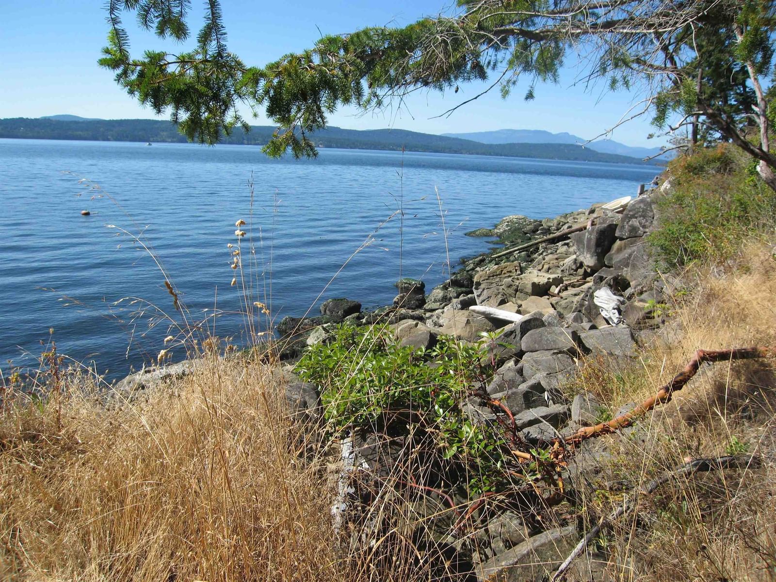 Listing Image 39