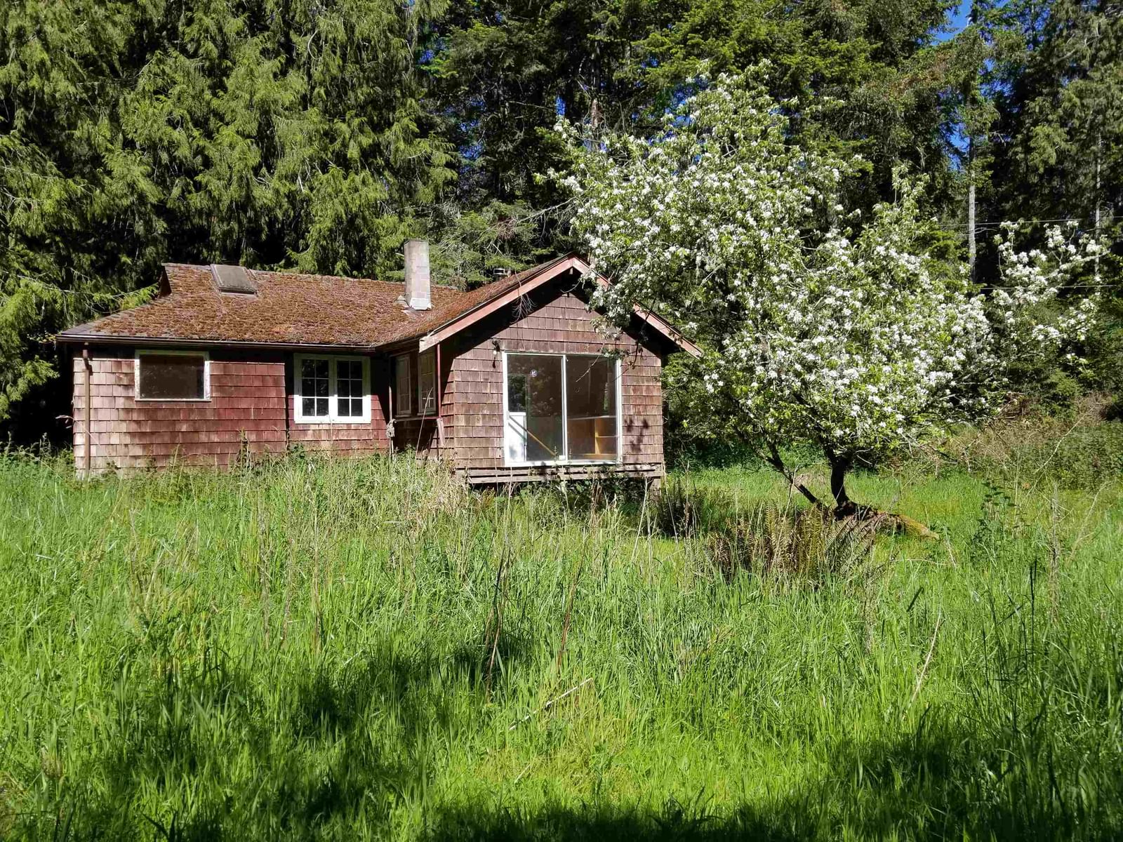 Listing Image 4