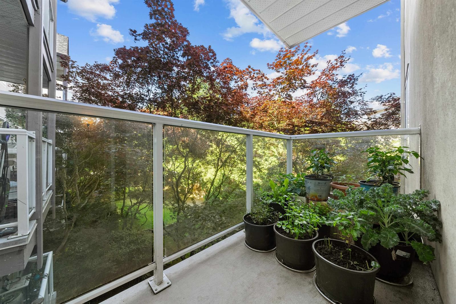 Listing Image 18