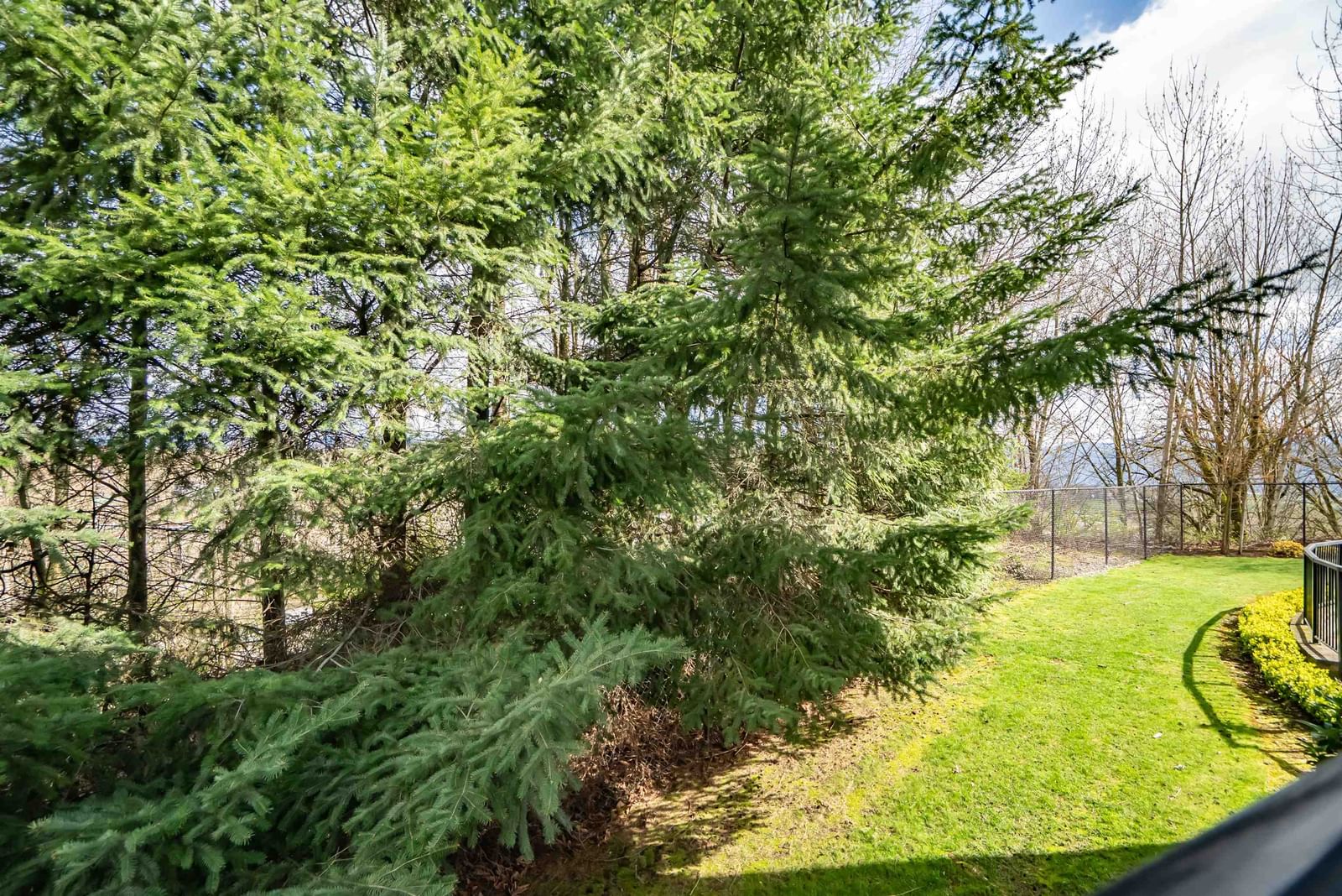Listing Image 34