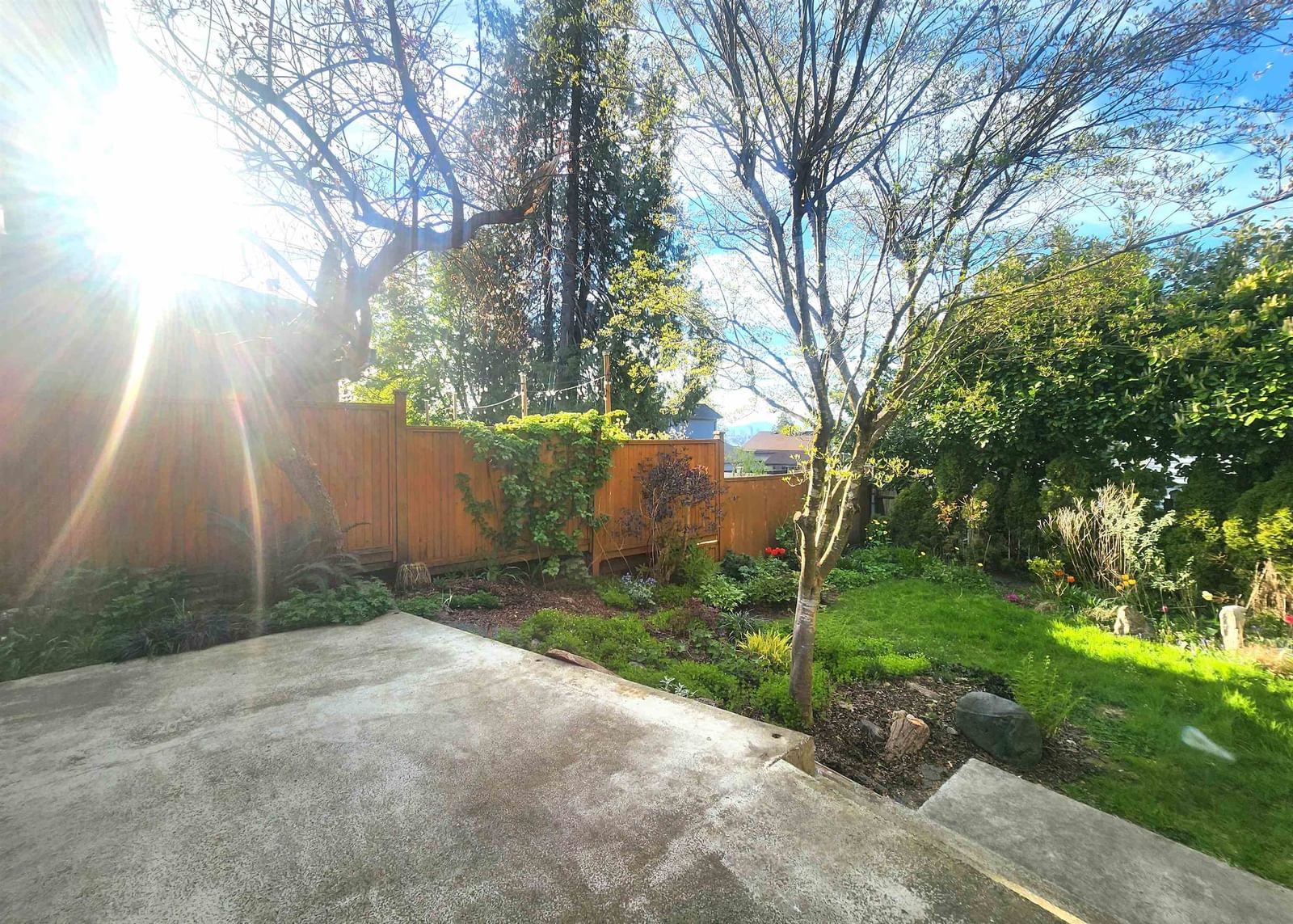 Listing Image 25