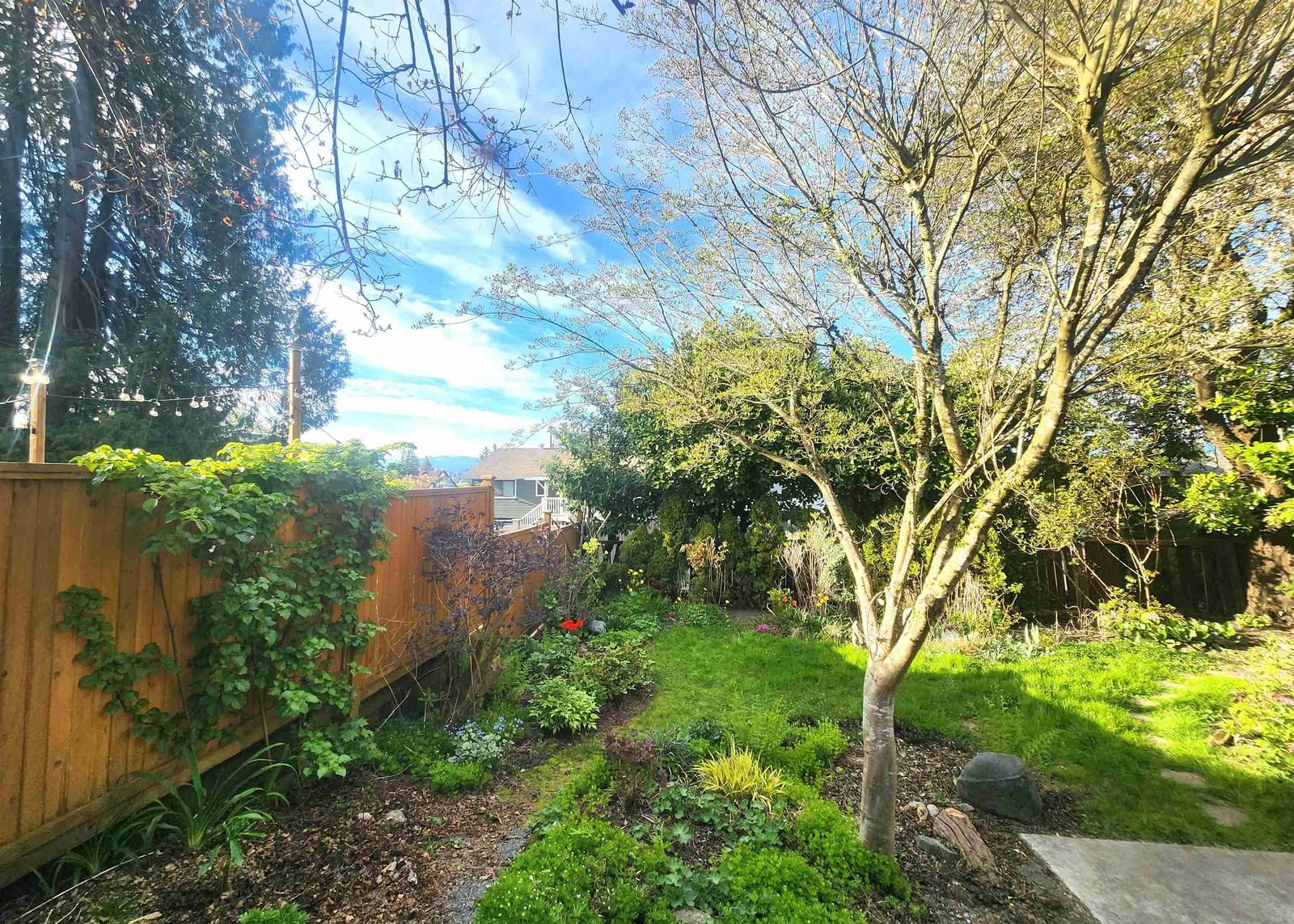 Listing Image 34