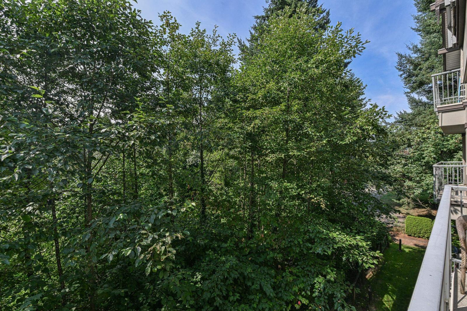 Listing Image 30