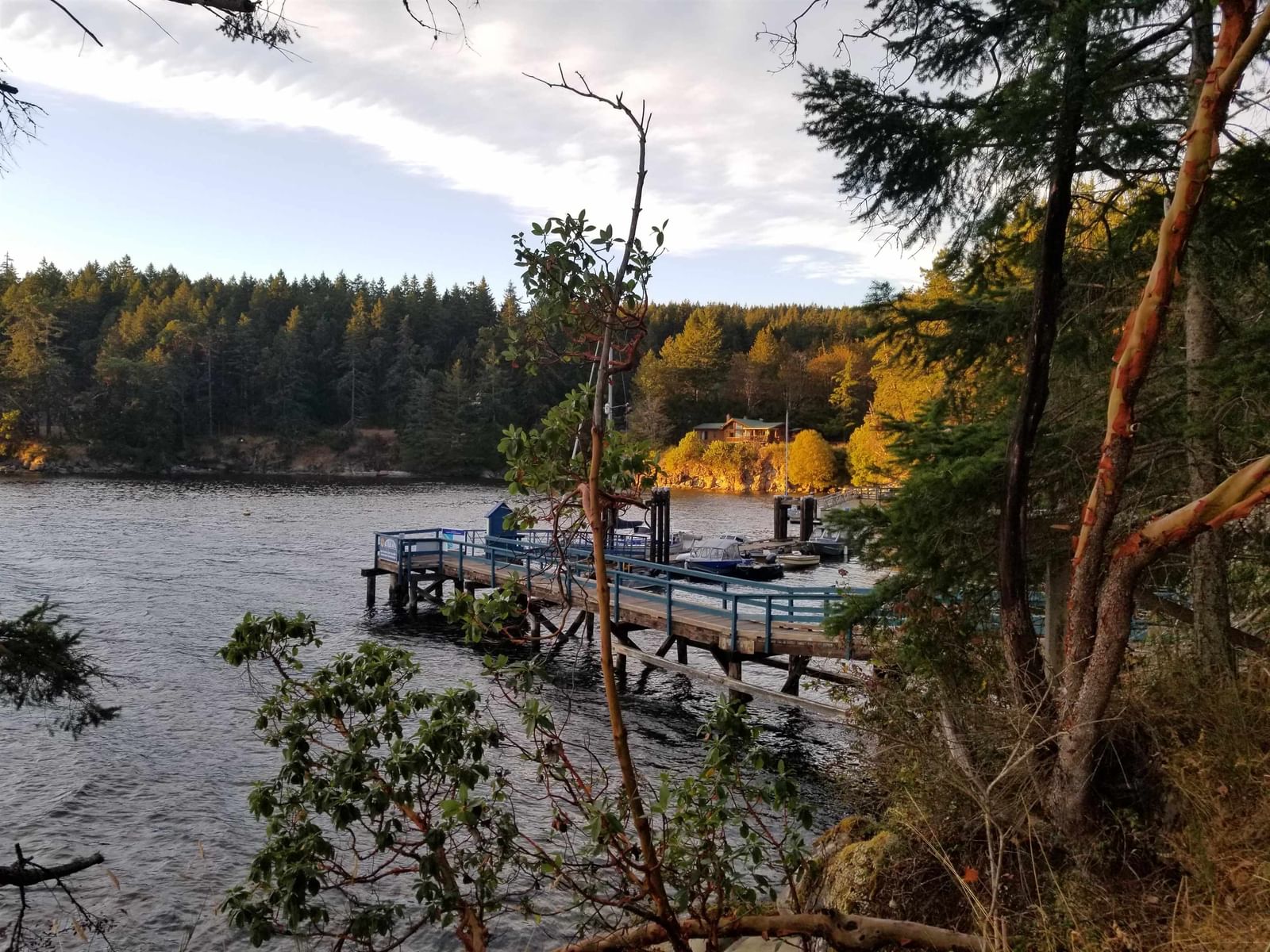 Listing Image 14