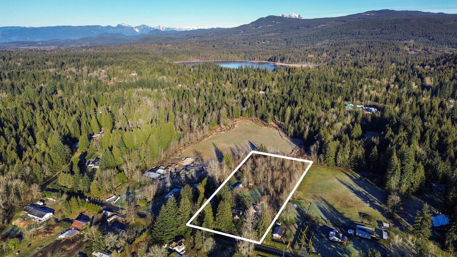 Listing Image 5