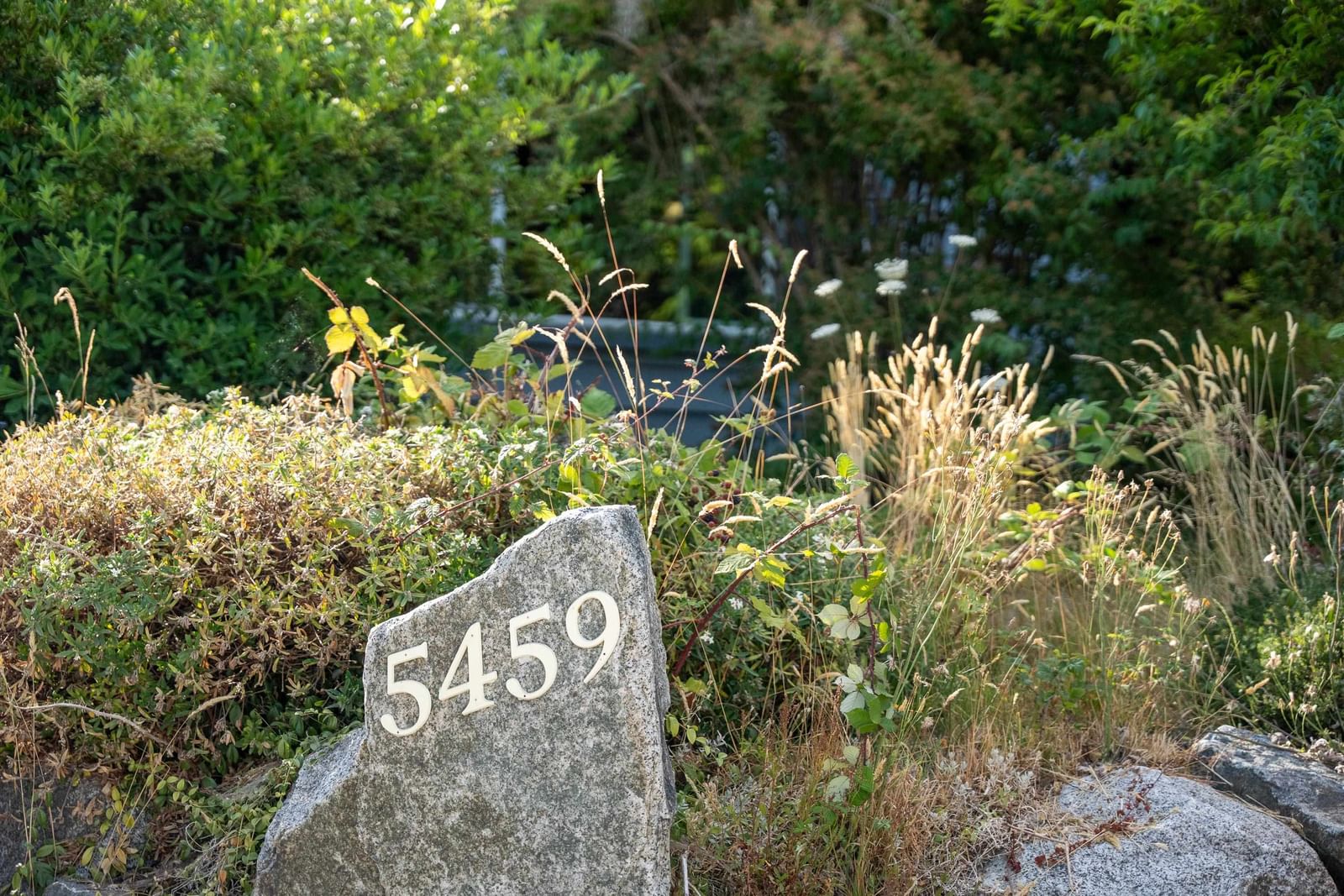 Listing Image 37