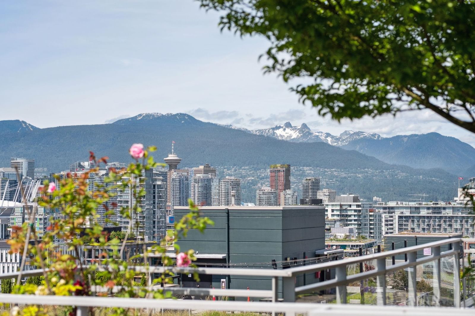 Listing Image 30