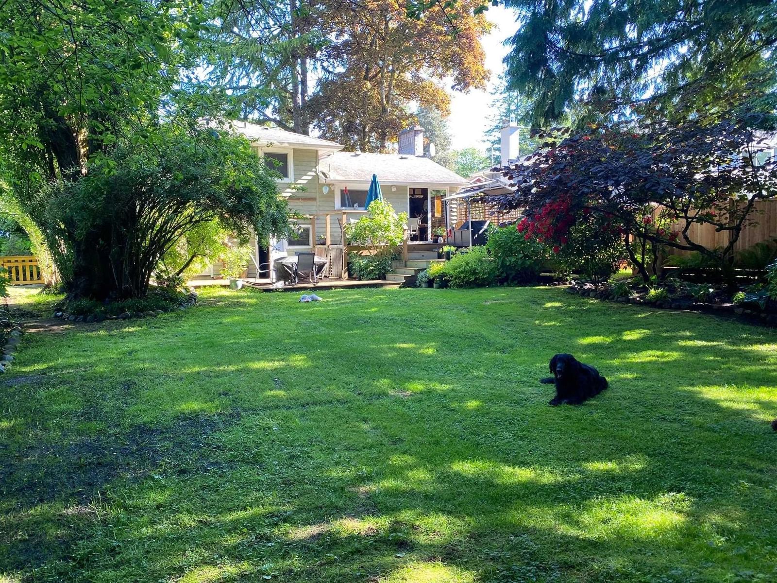Listing Image 6