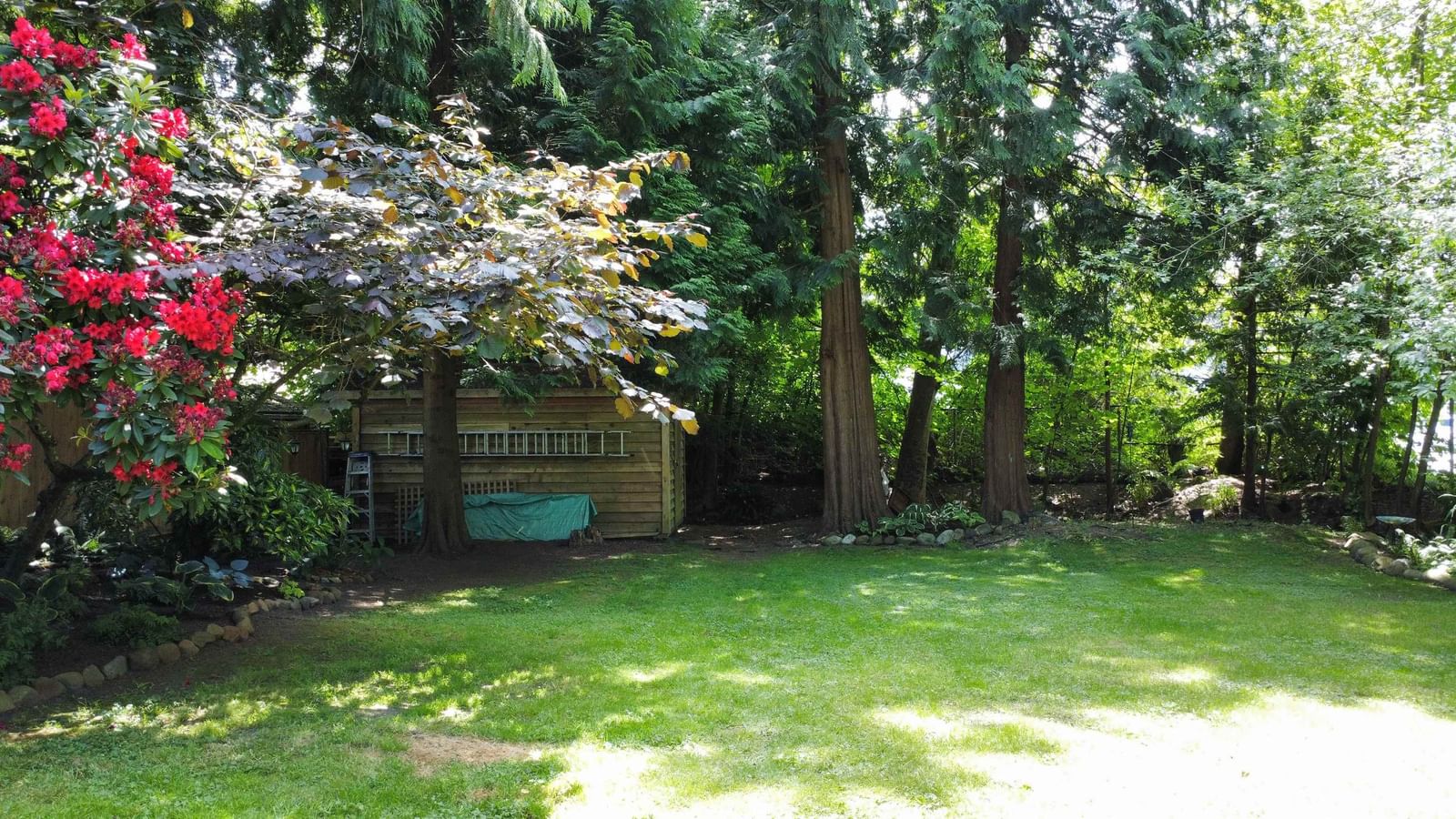 Listing Image 8