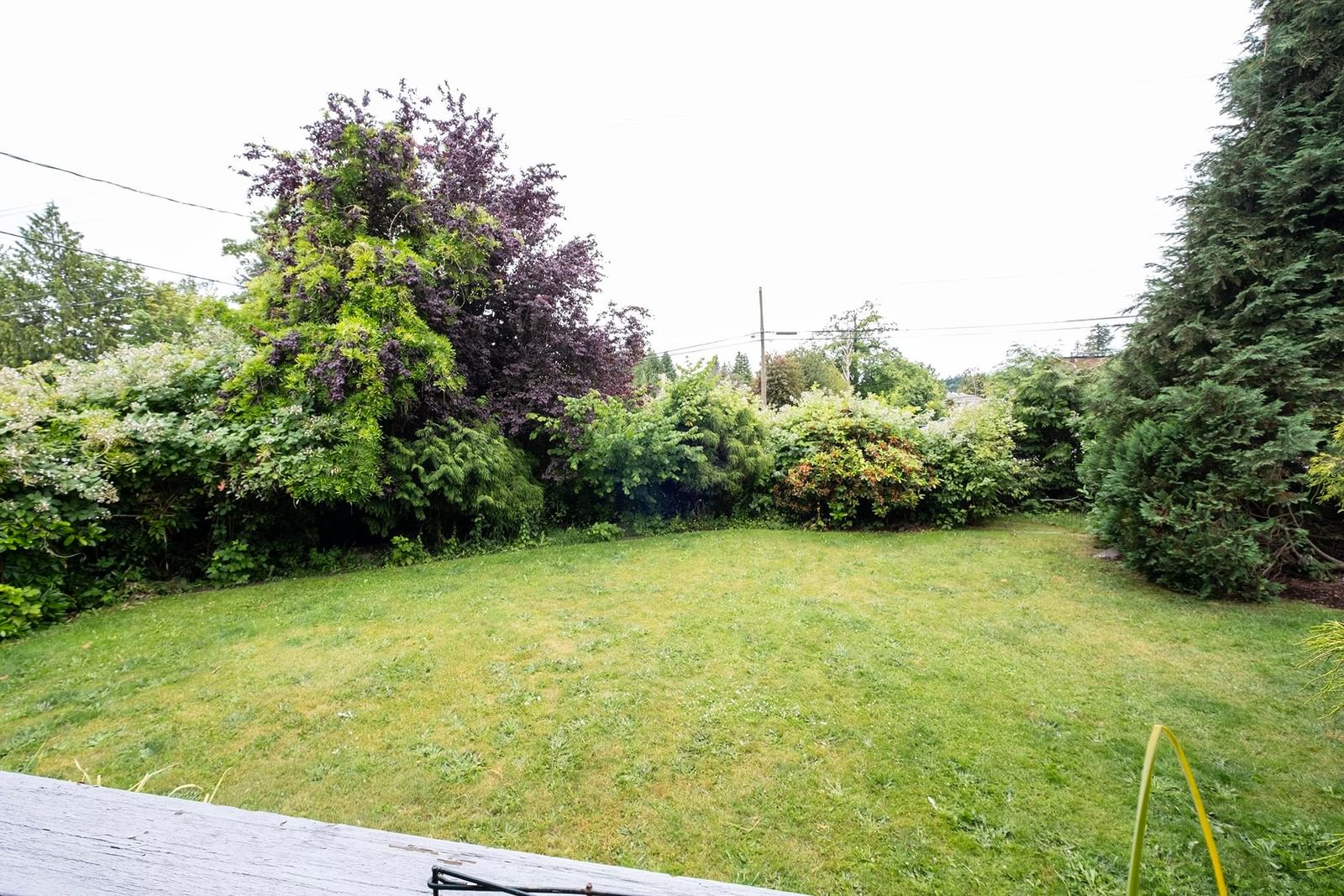 Listing Image 26