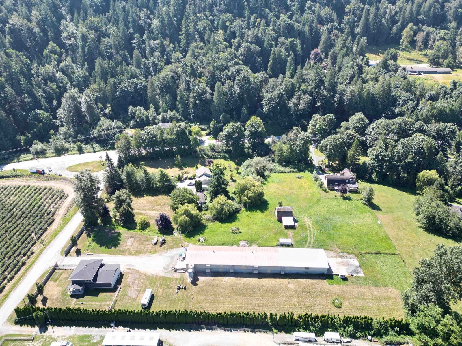 Listing Image 4