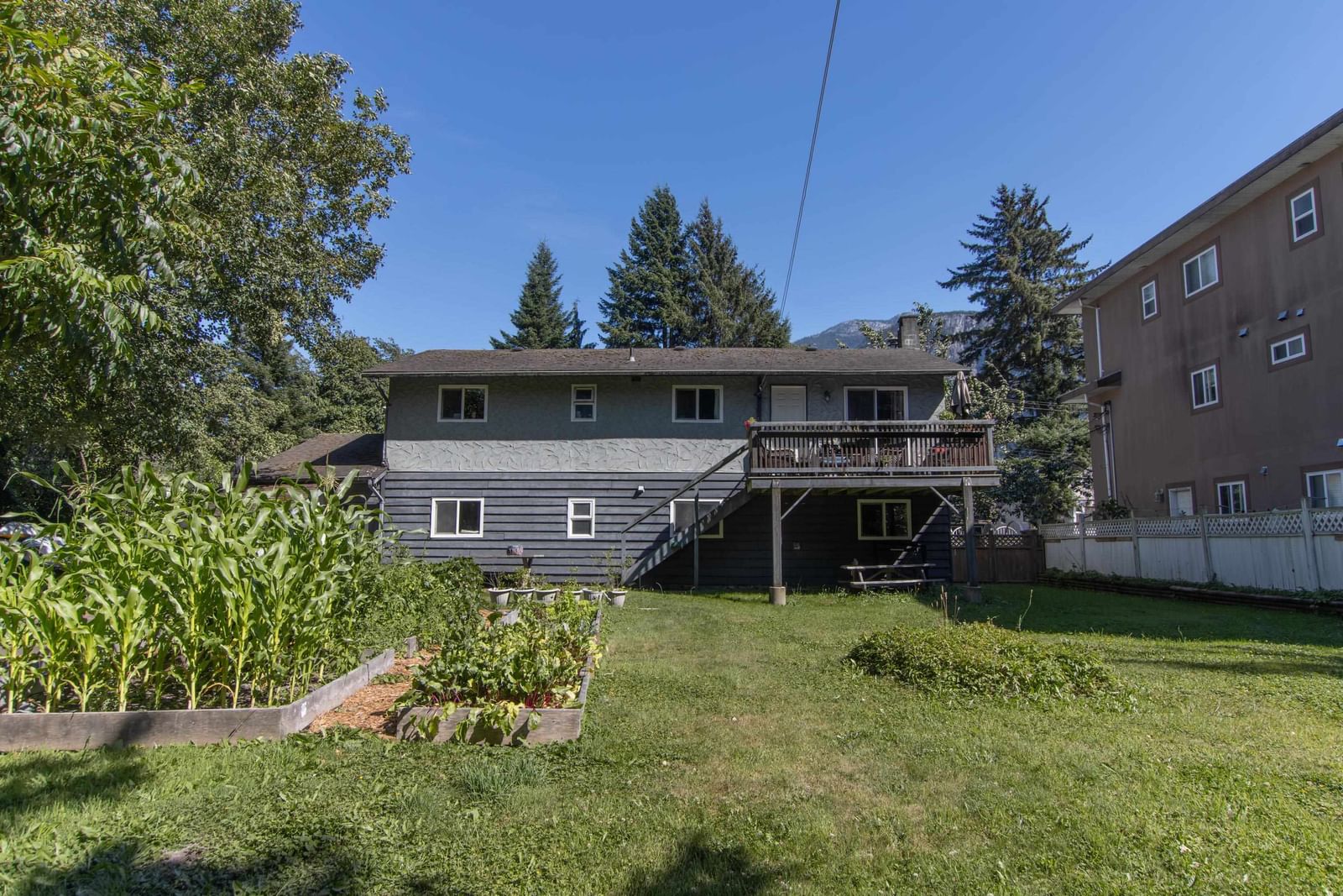 Listing Image 4