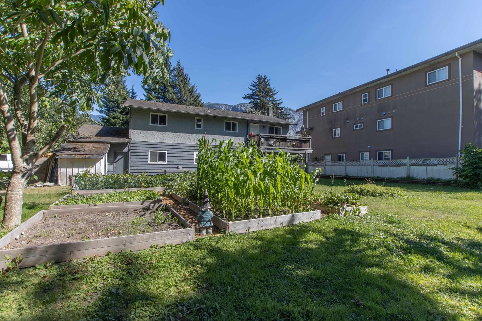 Listing Image 5