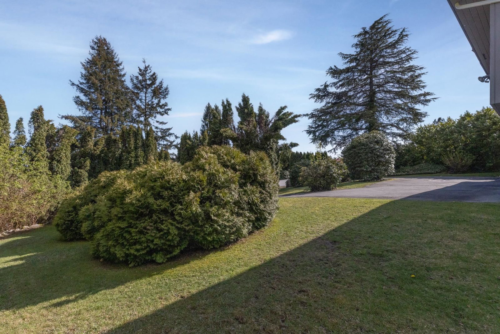 Listing Image 30