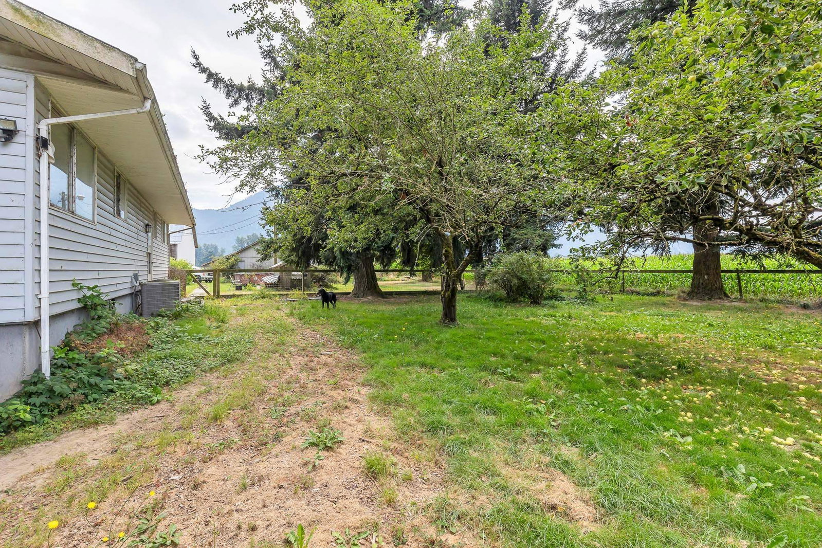 Listing Image 31