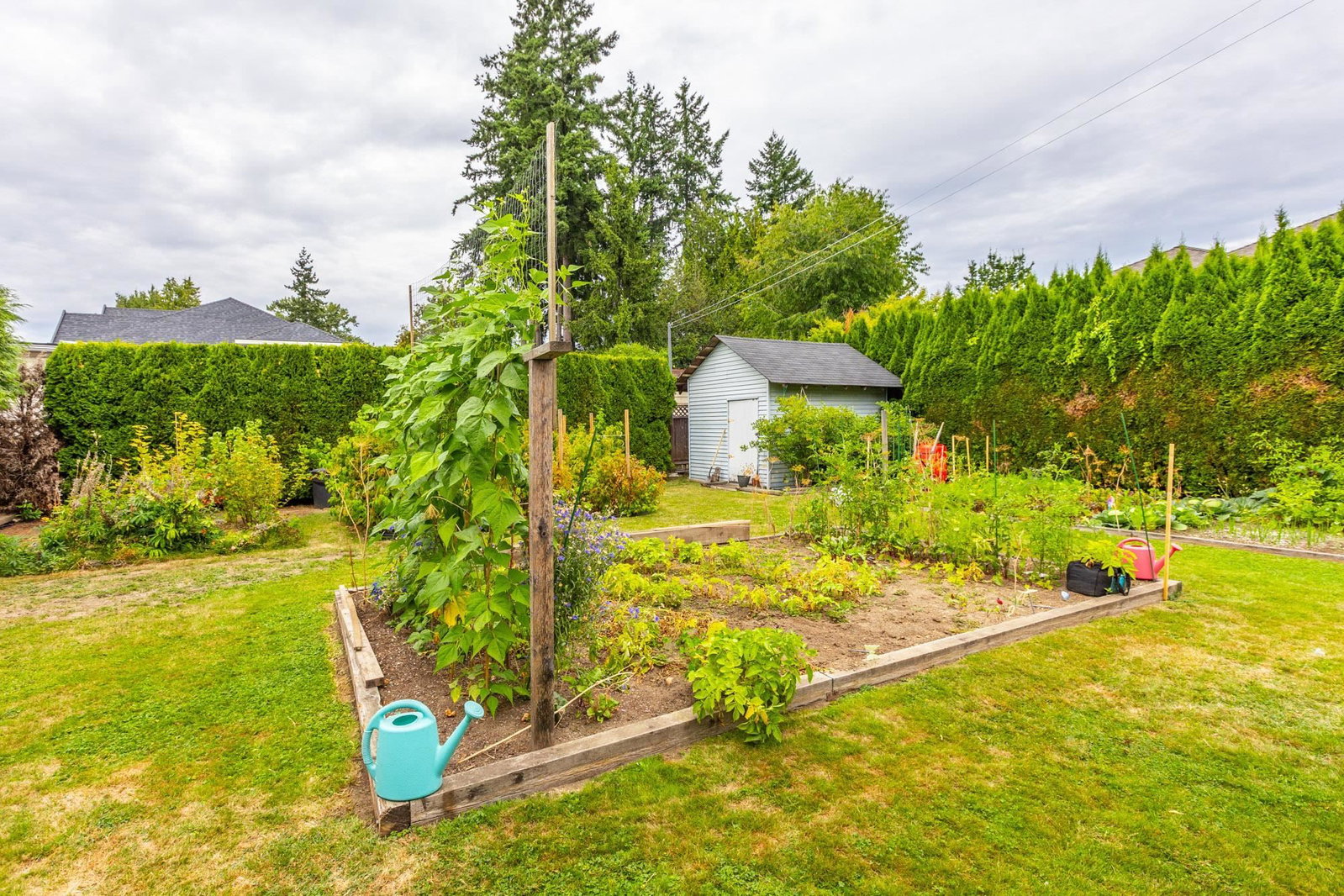 Listing Image 5