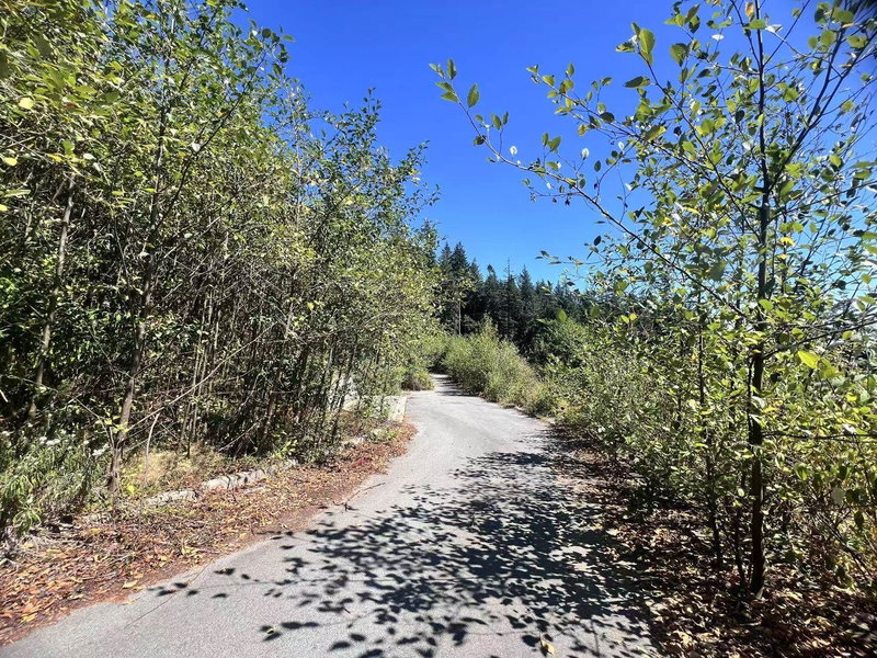 4140 Cypress Bowl Road, West Vancouver, V7S 3H9 | Image 2