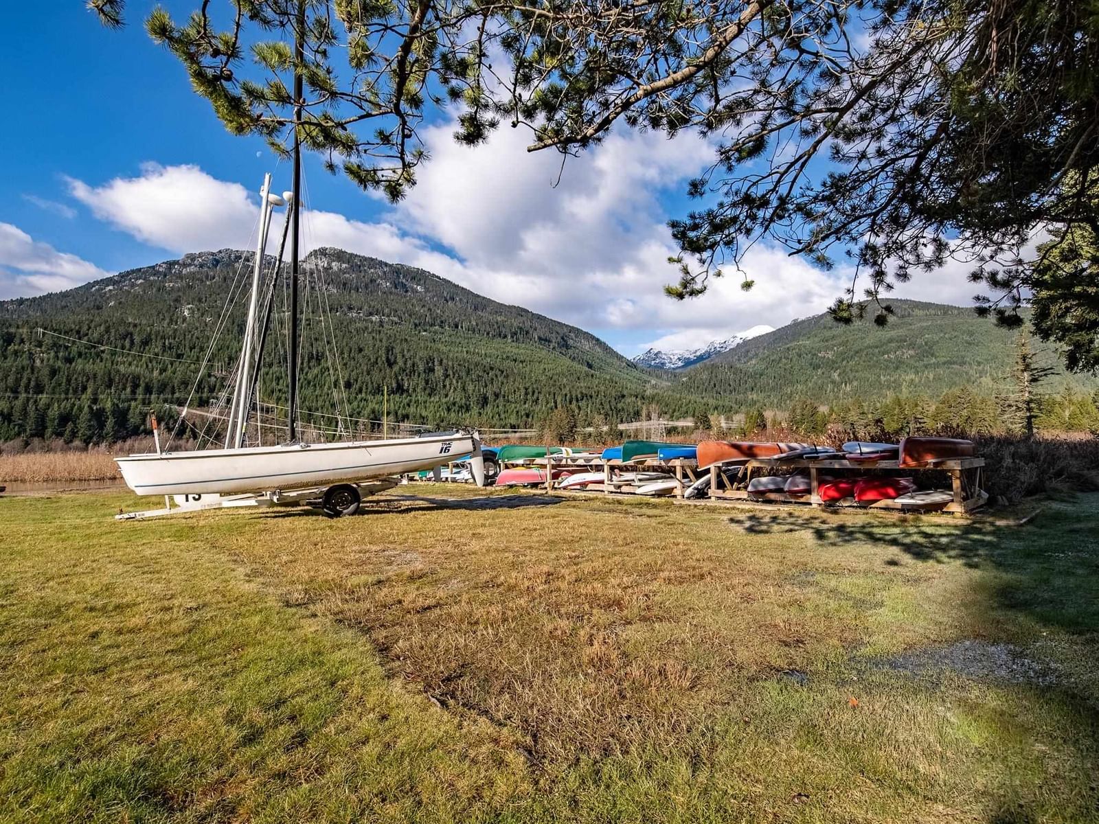 Listing Image 20
