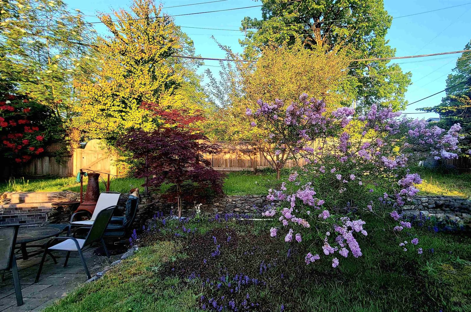 Listing Image 39