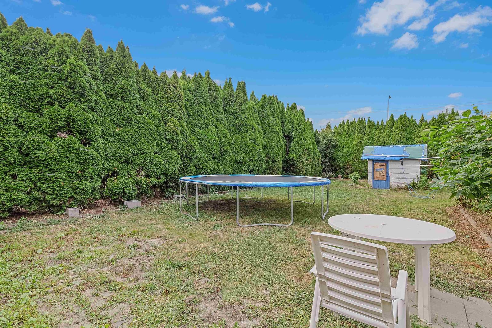 Listing Image 14