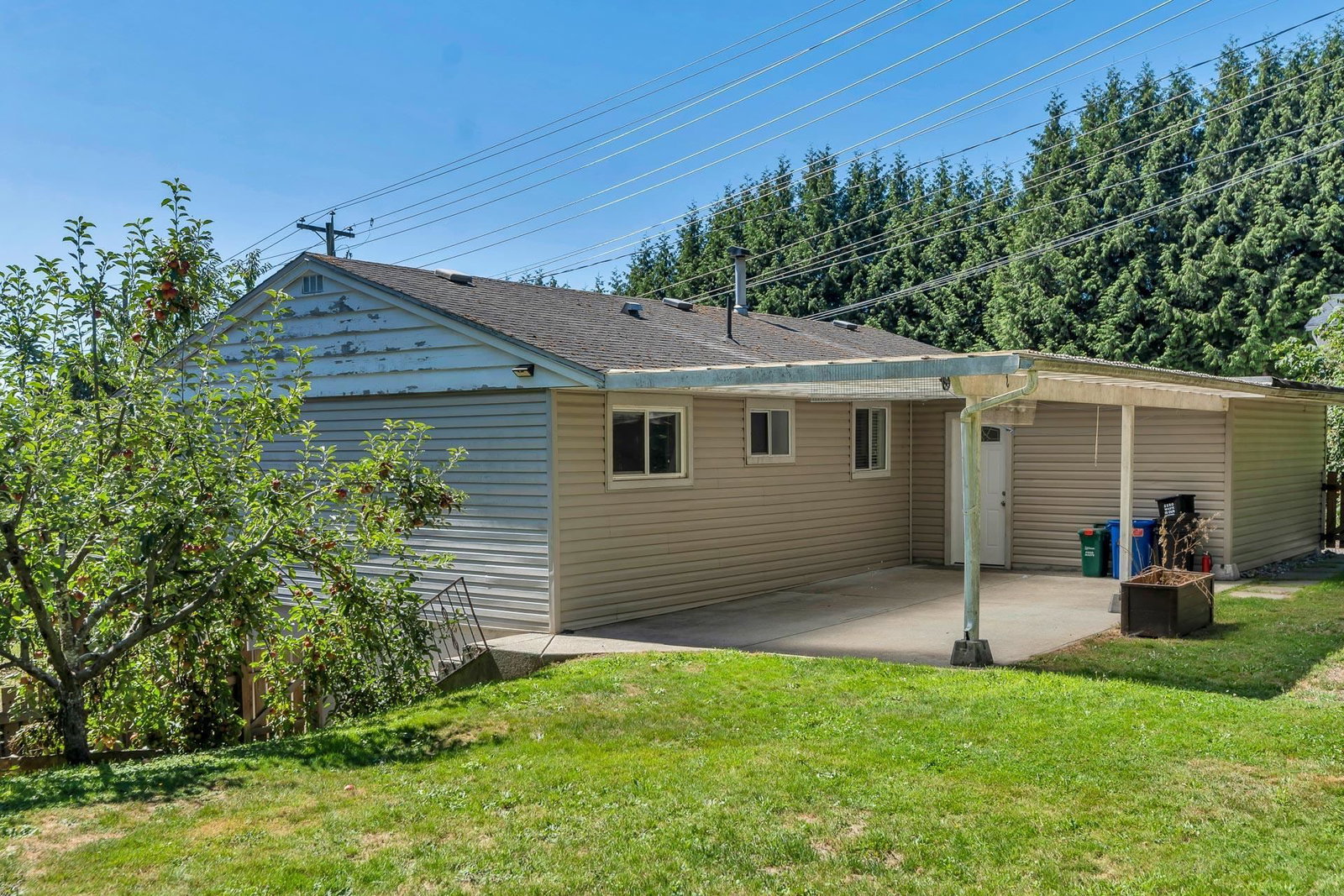 Listing Image 29