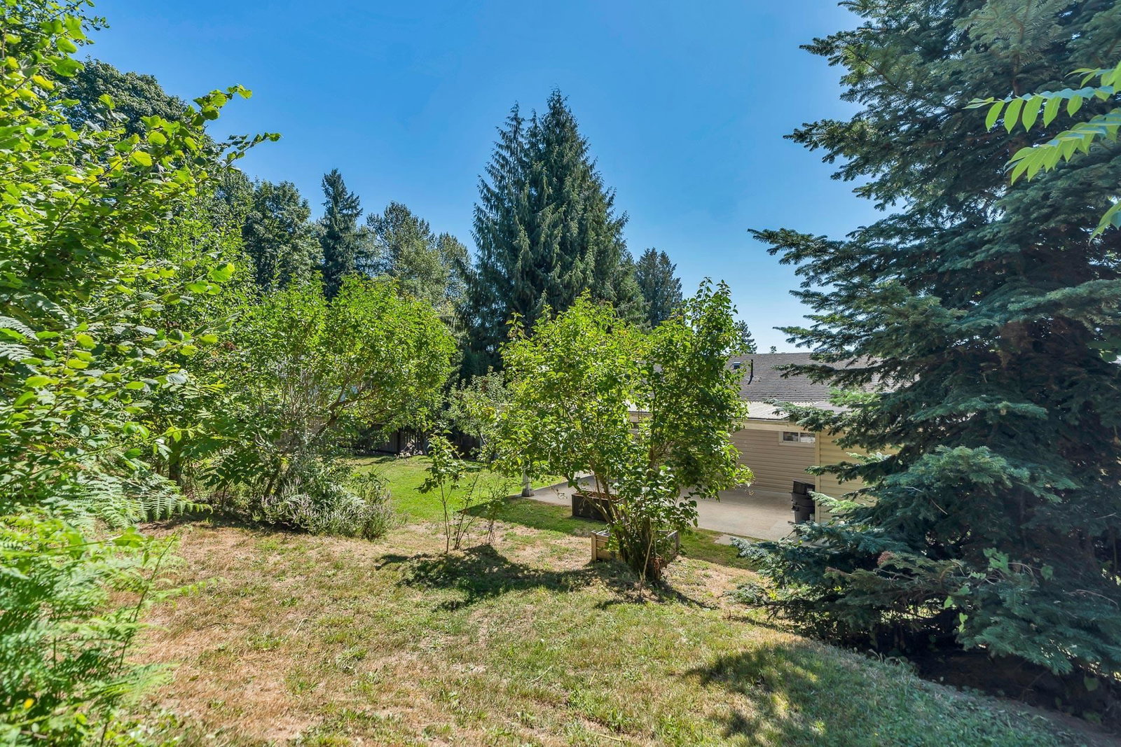Listing Image 31