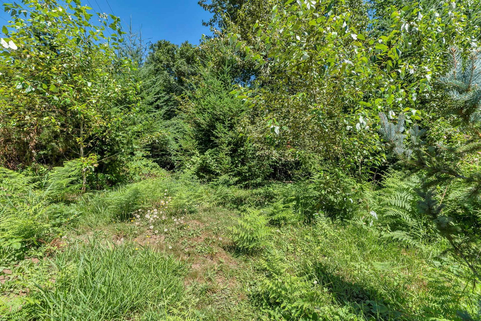 Listing Image 32