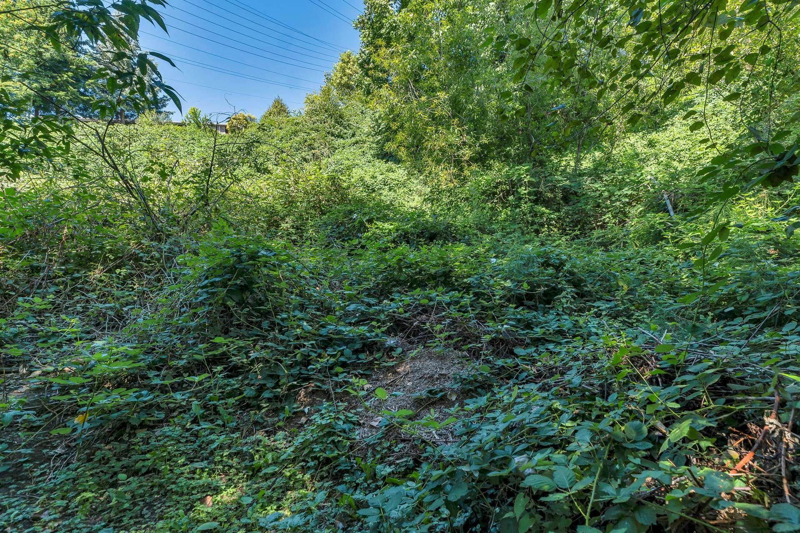Listing Image 36