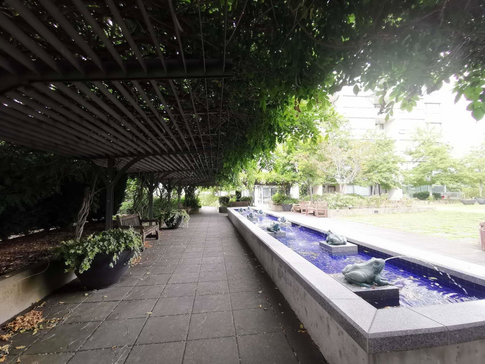 Listing Image 23