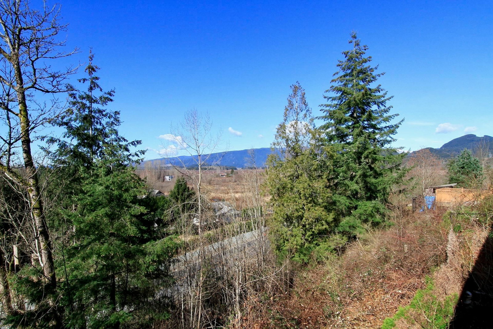Listing Image 33