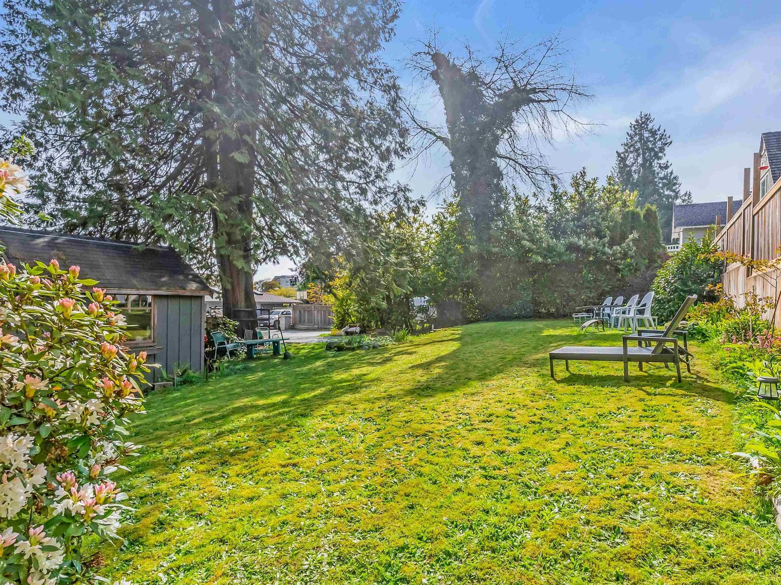 Listing Image 25
