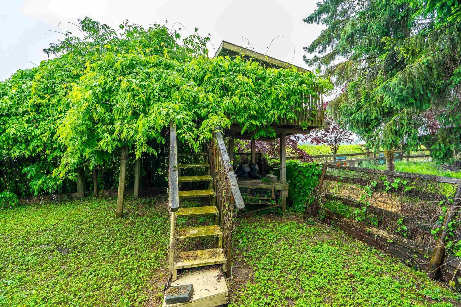 Listing Image 36