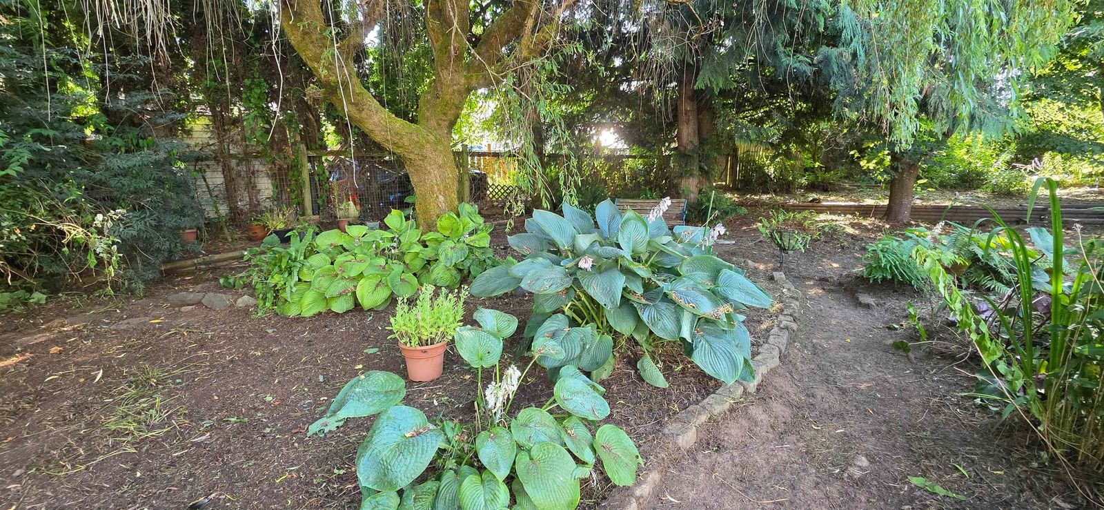 Listing Image 35