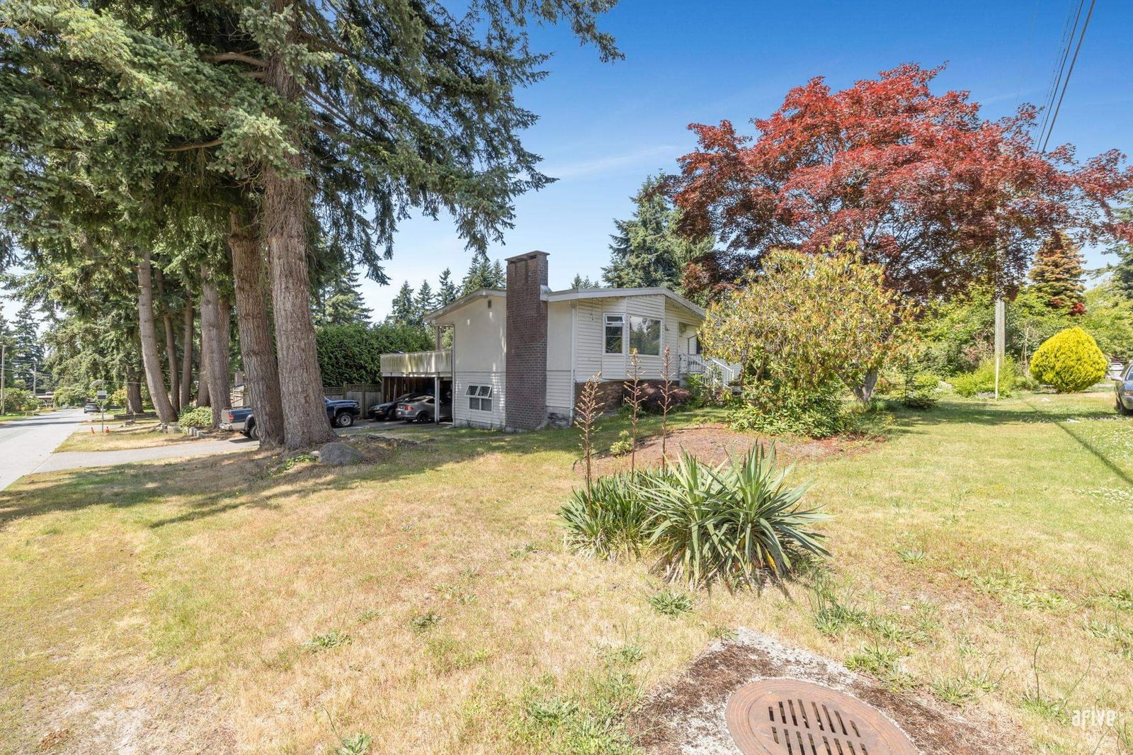 Listing Image 29