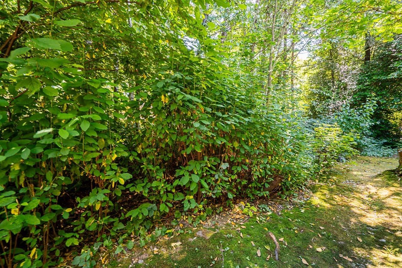 Listing Image 39