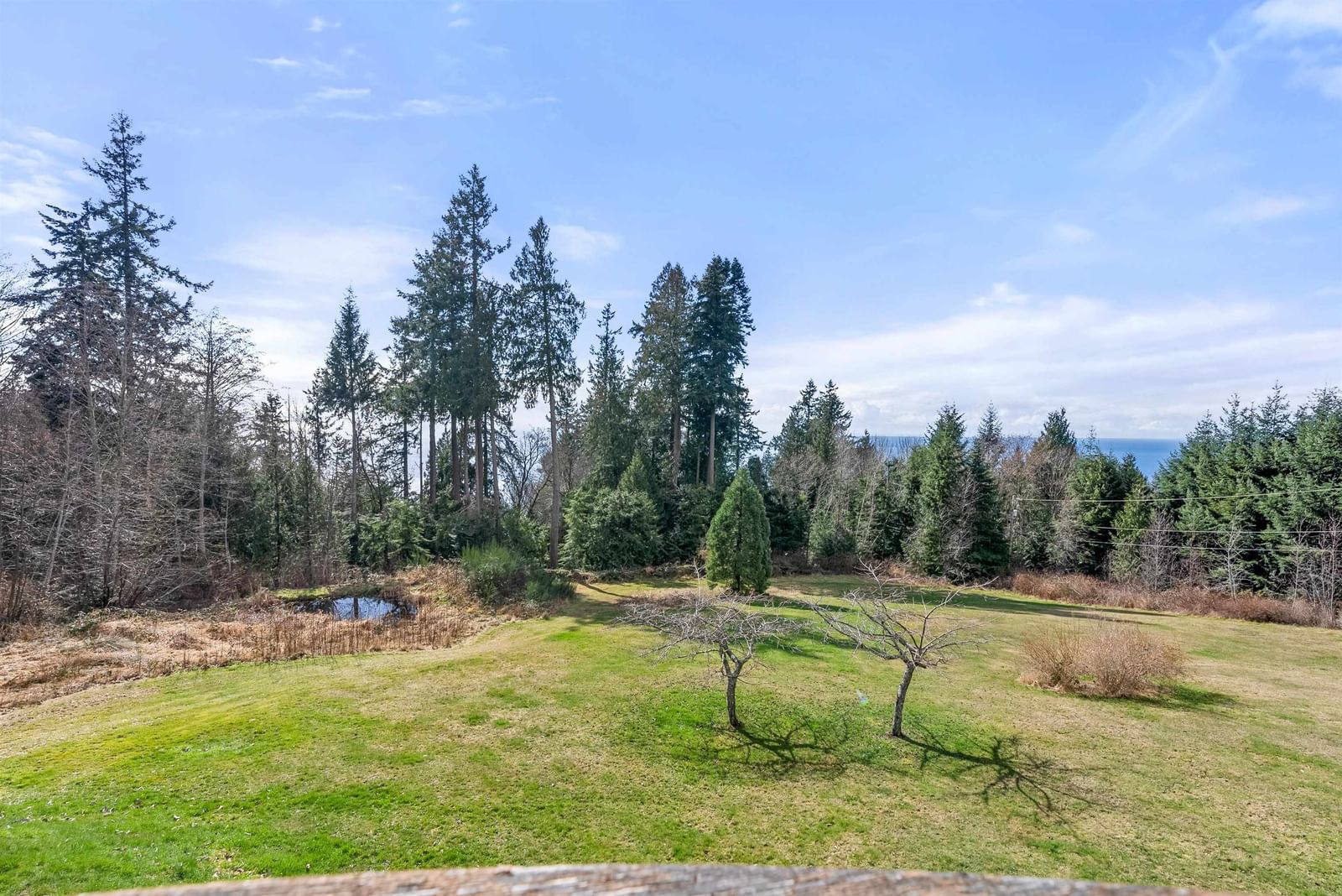 Listing Image 37