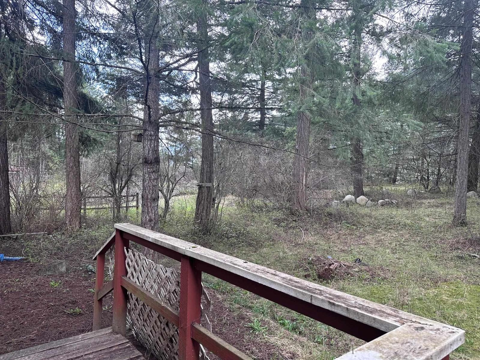 Listing Image 4