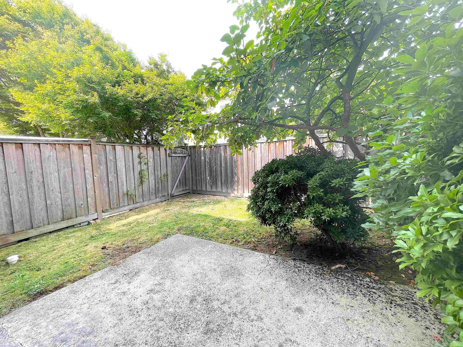 Listing Image 34