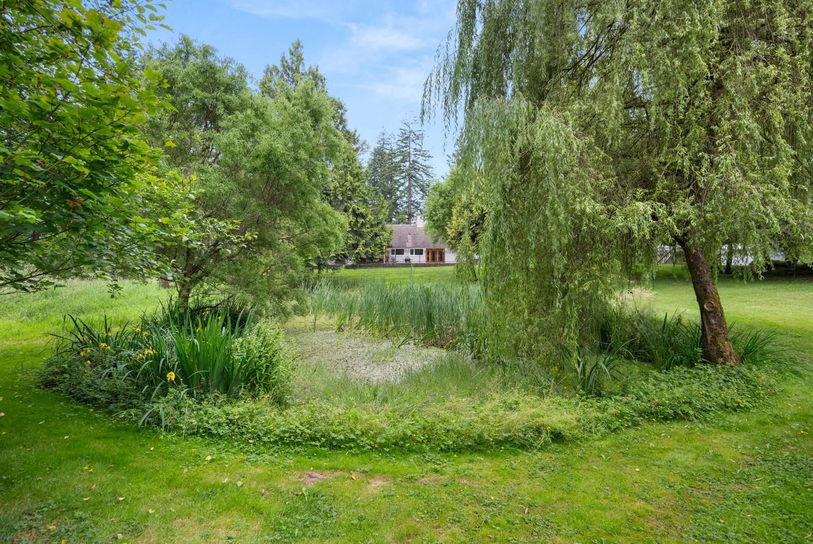 Listing Image 36