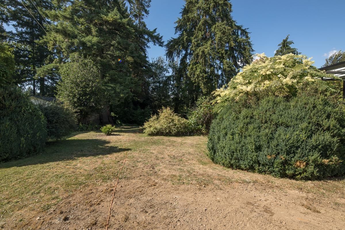 Listing Image 17