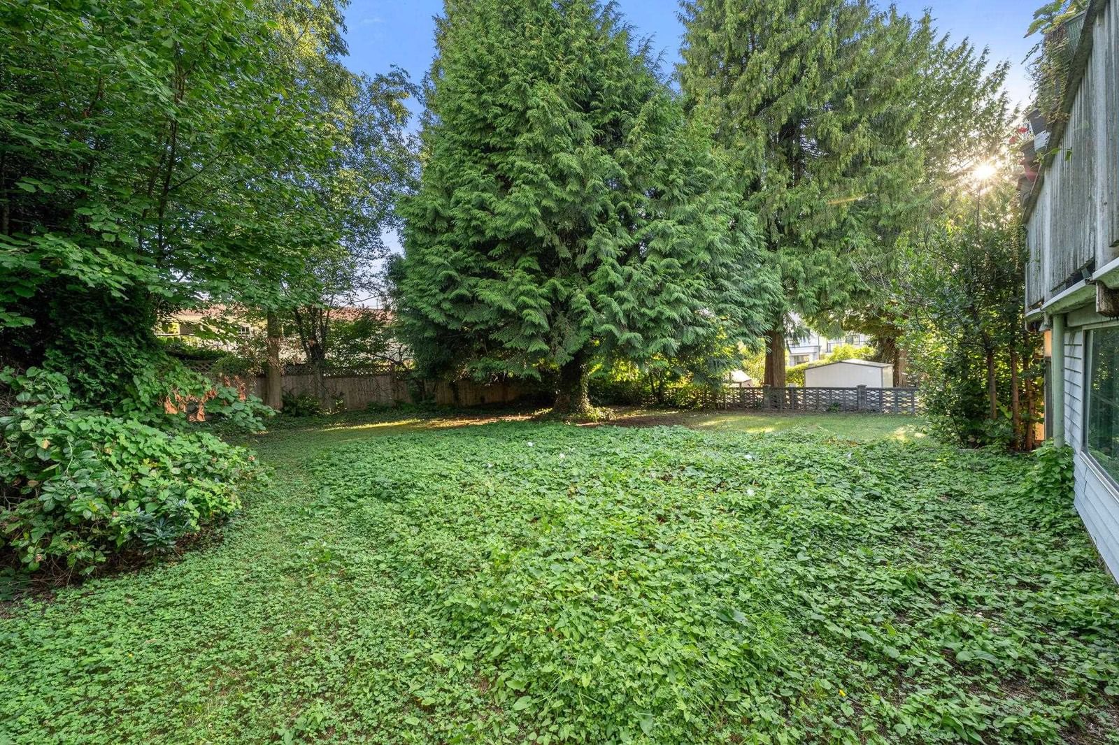 Listing Image 32