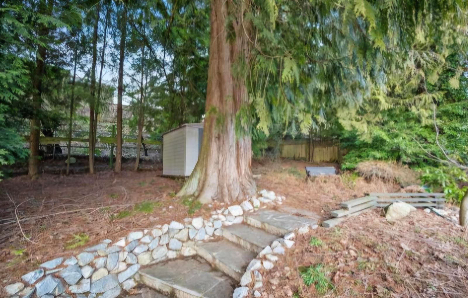 Listing Image 11