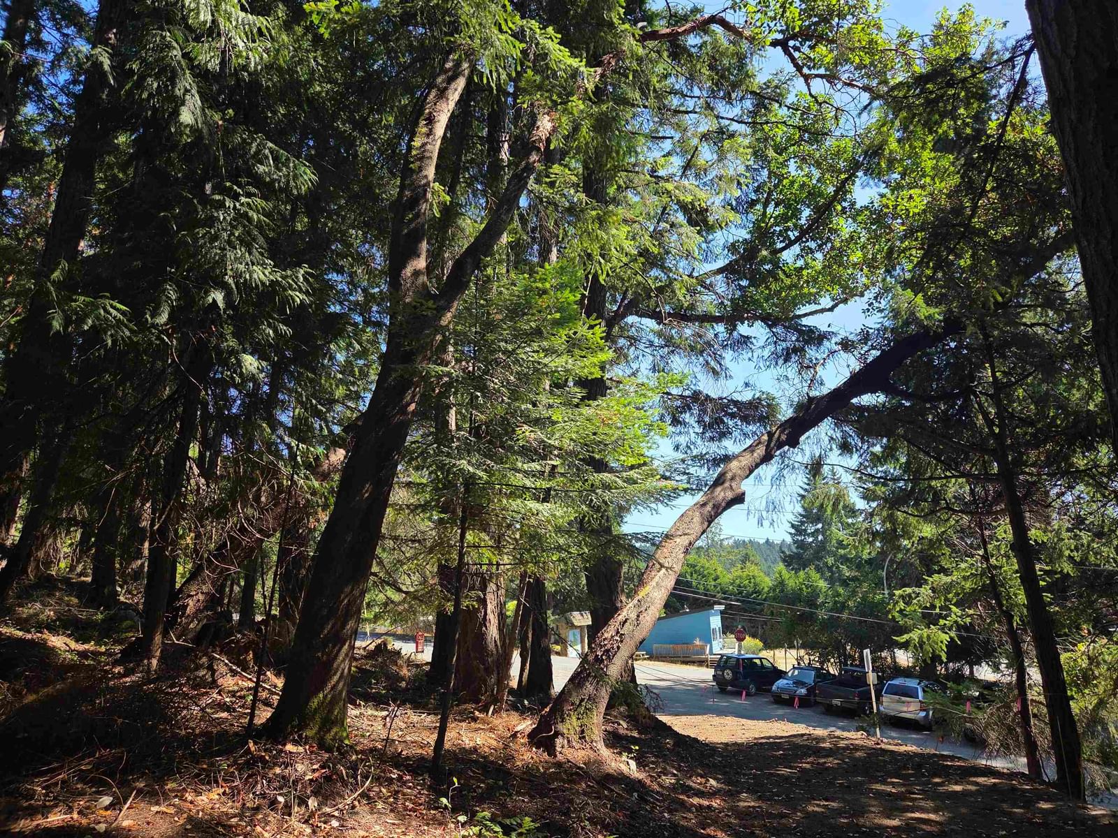 Listing Image 11