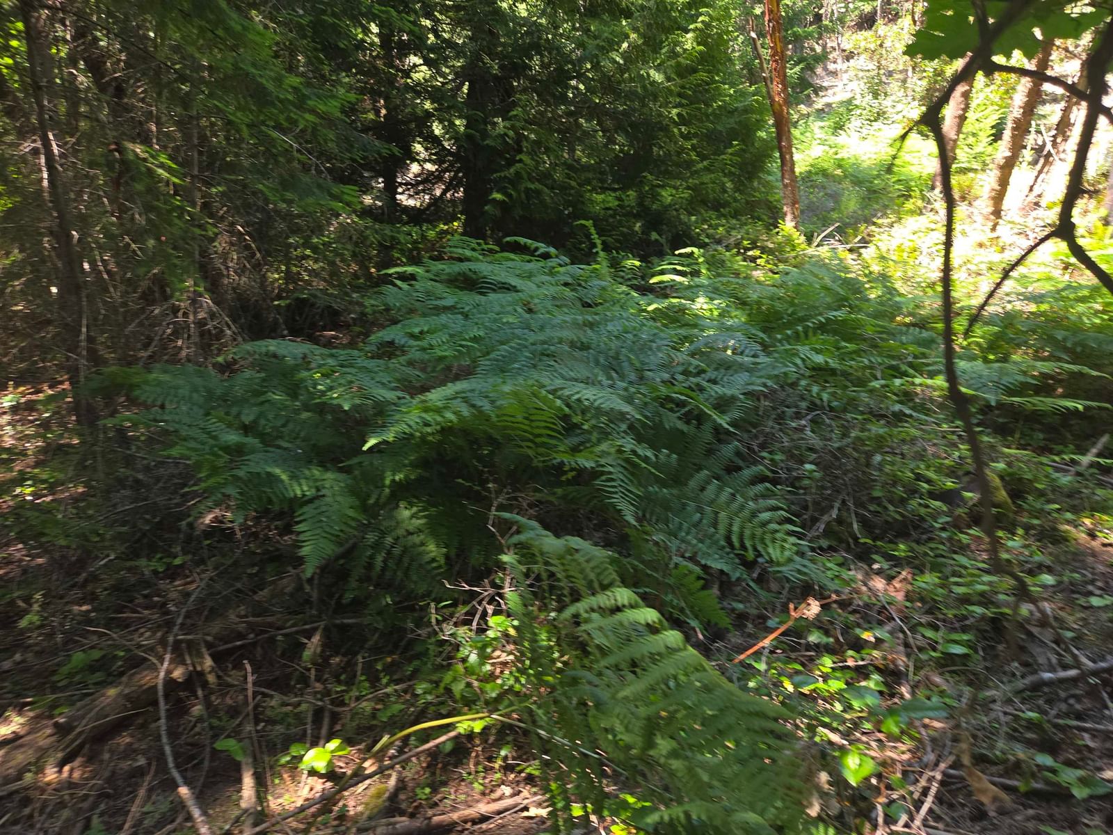 Listing Image 14