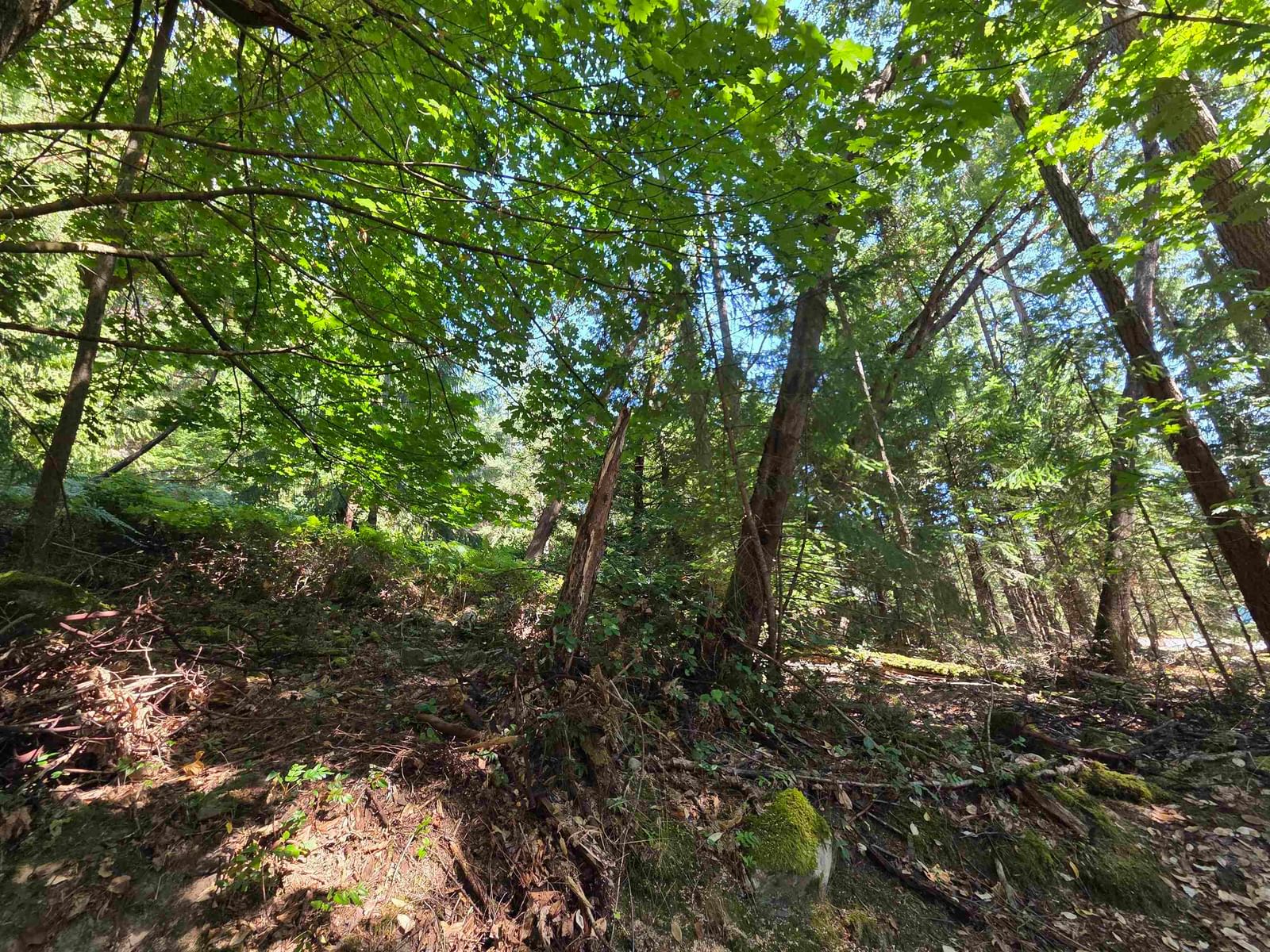 Listing Image 8