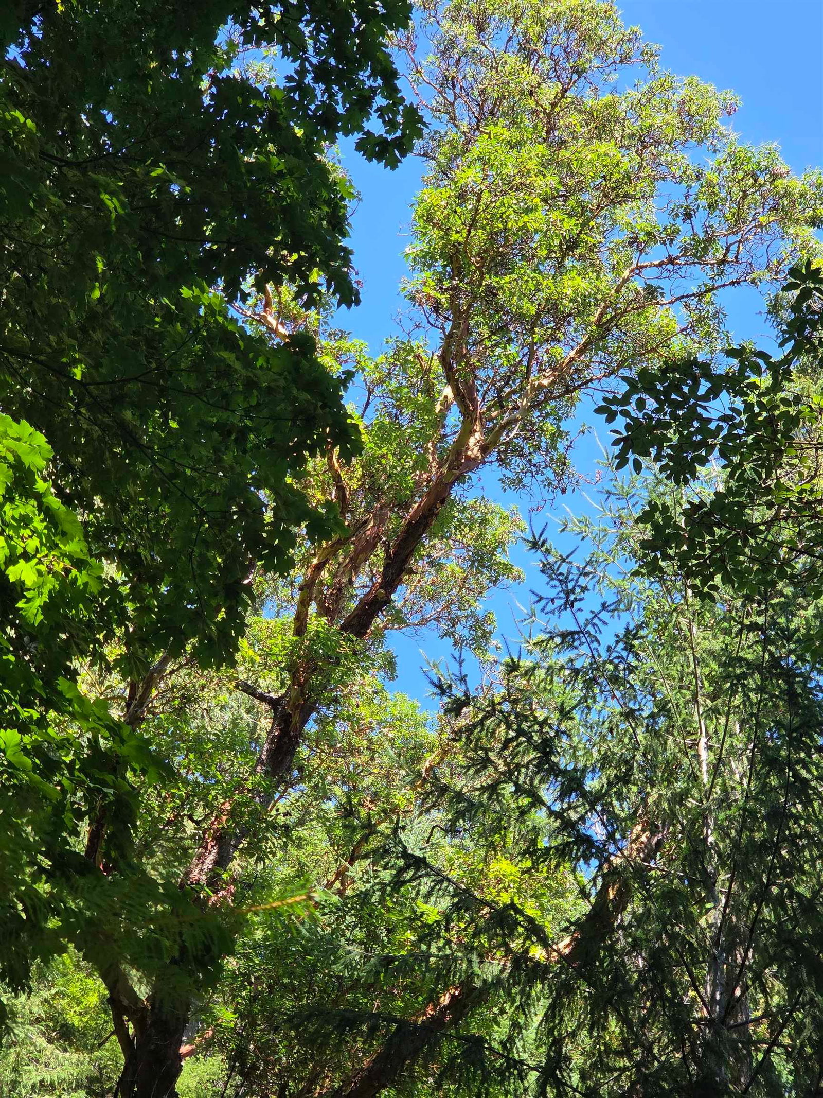 Listing Image 9